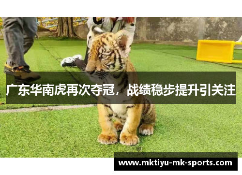 广东华南虎再次夺冠，战绩稳步提升引关注